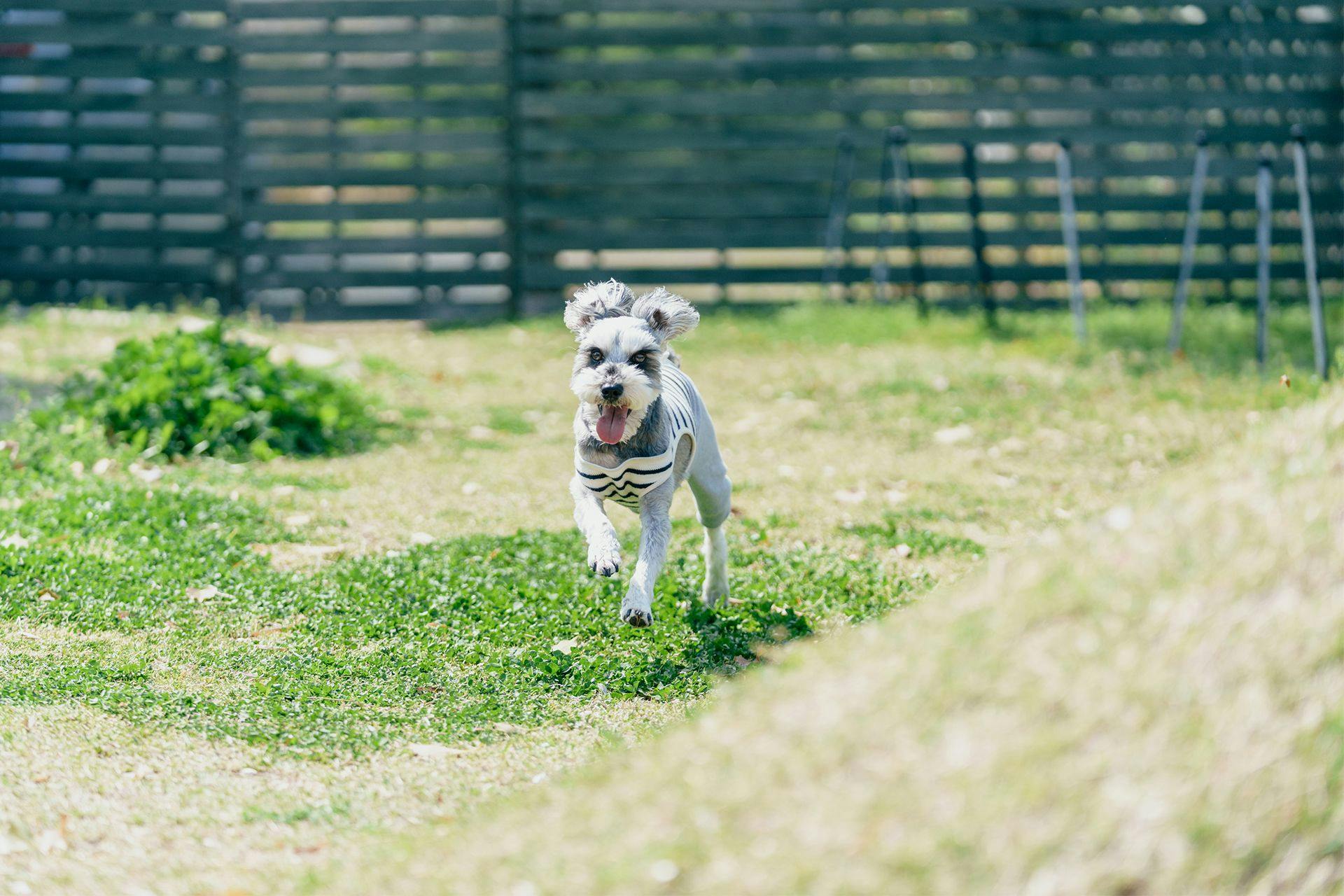 Kawatana Grand Hotel Otafuku