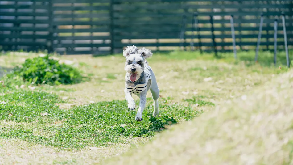 Kawatana Grand Hotel Otafuku