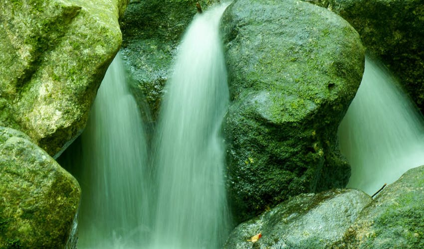 Sankara Hotel Spa 屋久島 の空室状況を確認する 宿泊予約は 一休 Com Sankara Hotel Spa 屋久島 の空室状況を確認する 宿泊予約は 一休 Com