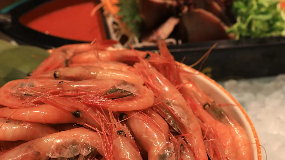 Hotel Taisetsu ONSEN & CANYON RESORT