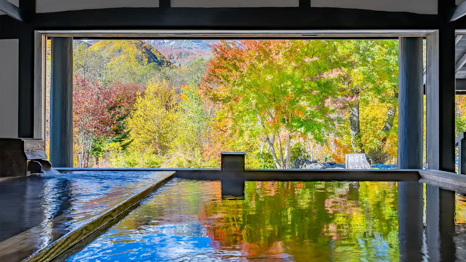 Hakuba Mizubasho Onsen Hotel Sierra Resort Hakuba