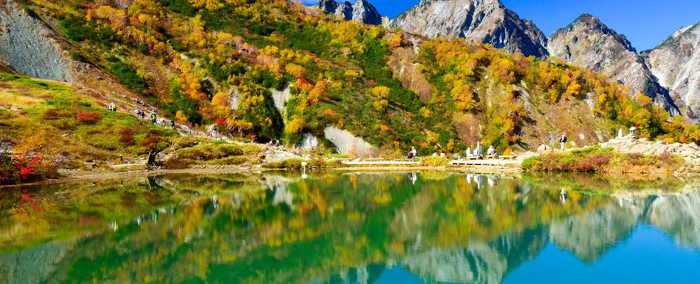 アクティビティ