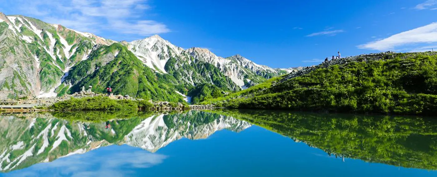 アクティビティ