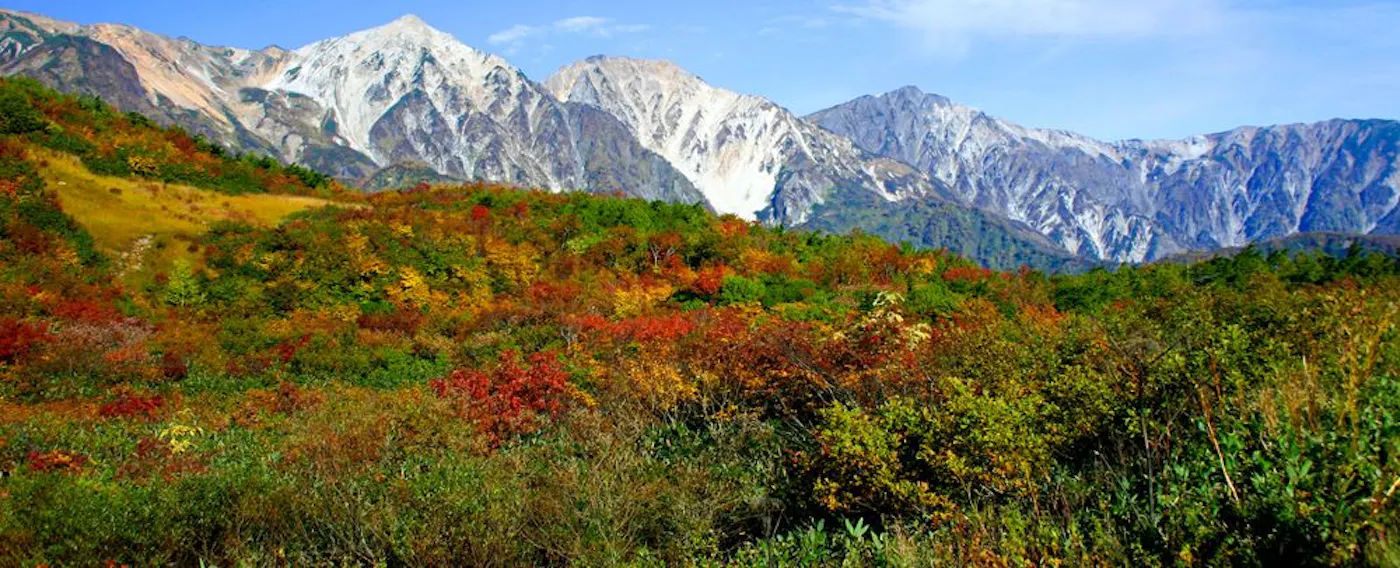 アクティビティ