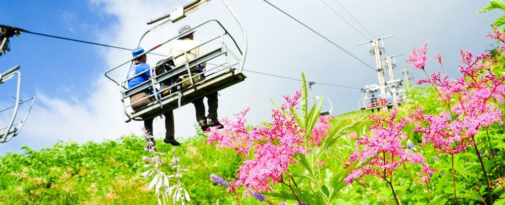 アクティビティ