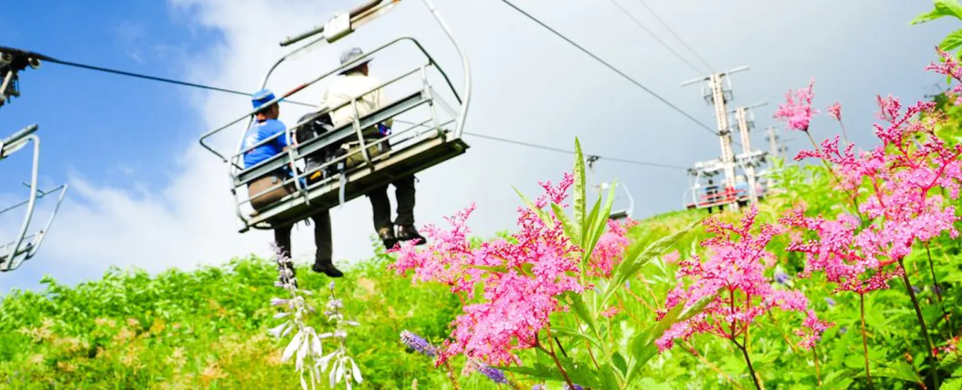 アクティビティ