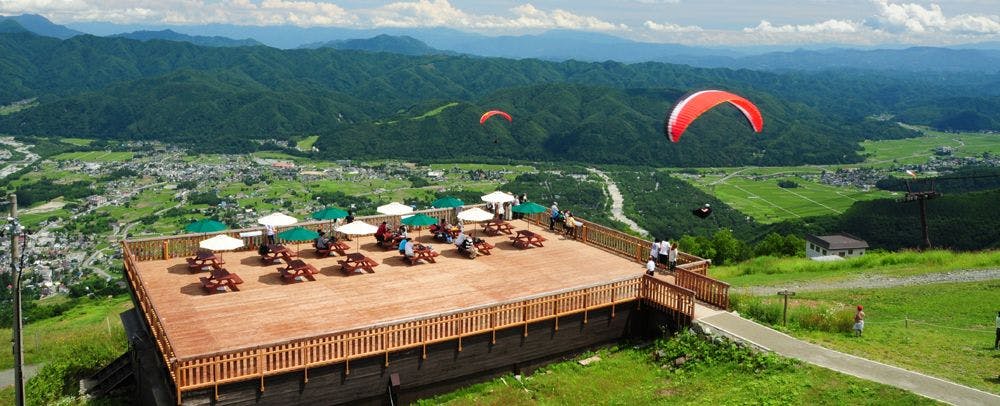 アクティビティ