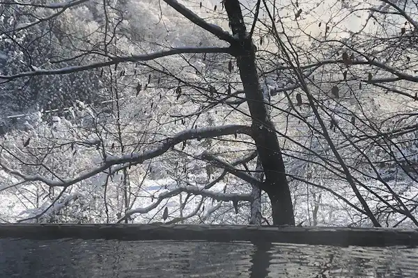 บ่อน้ำพุร้อนกลางแจ้ง