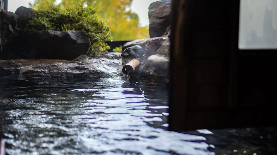 beppu tabiyado sainoko