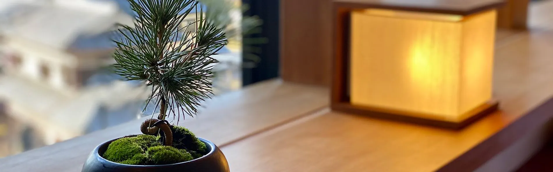 あきば何求庵