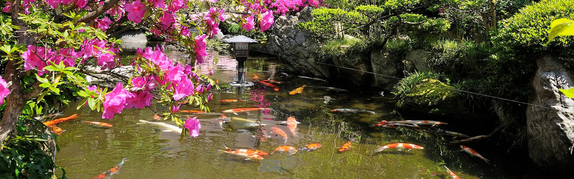 伝統旅館のぬくもり 灰屋