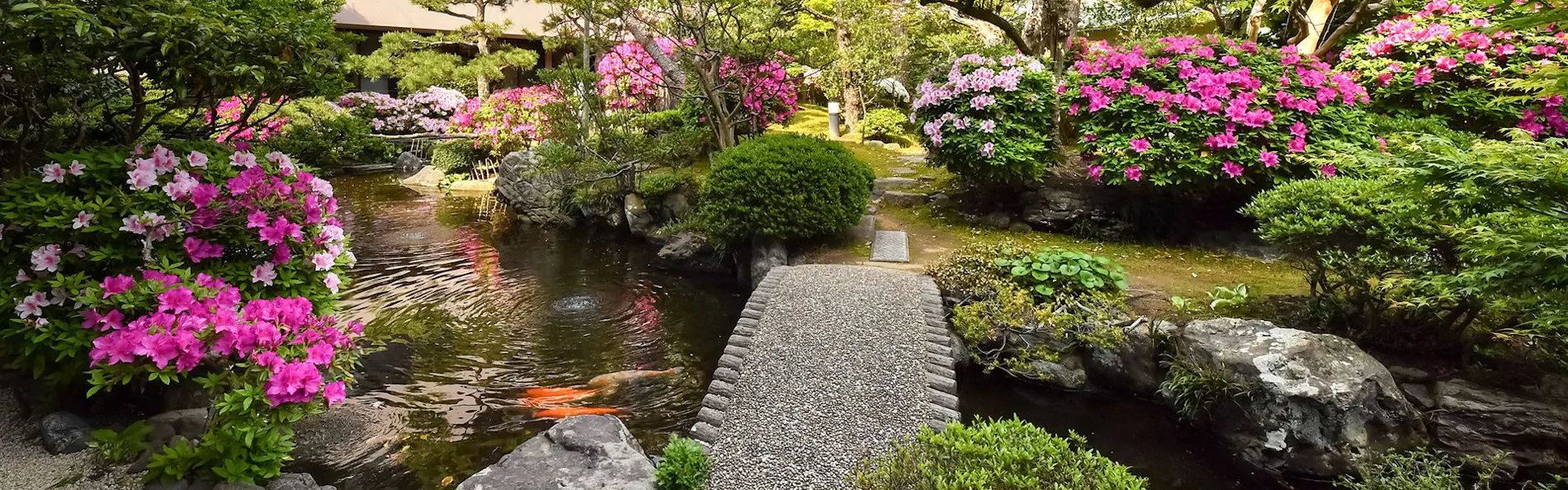 伝統旅館のぬくもり 灰屋