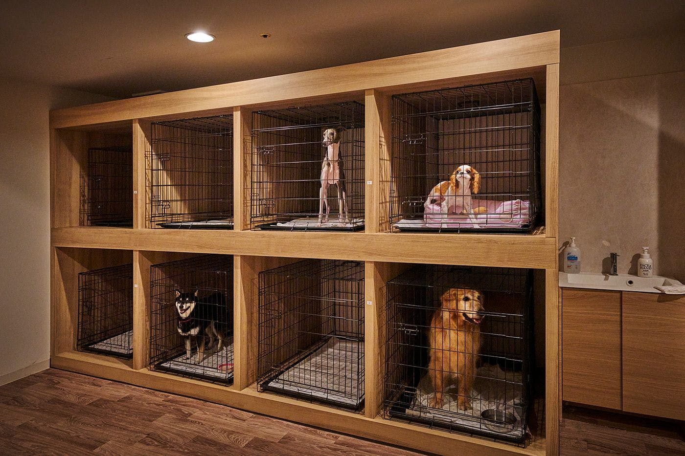 伊良湖オーシャンリゾート
