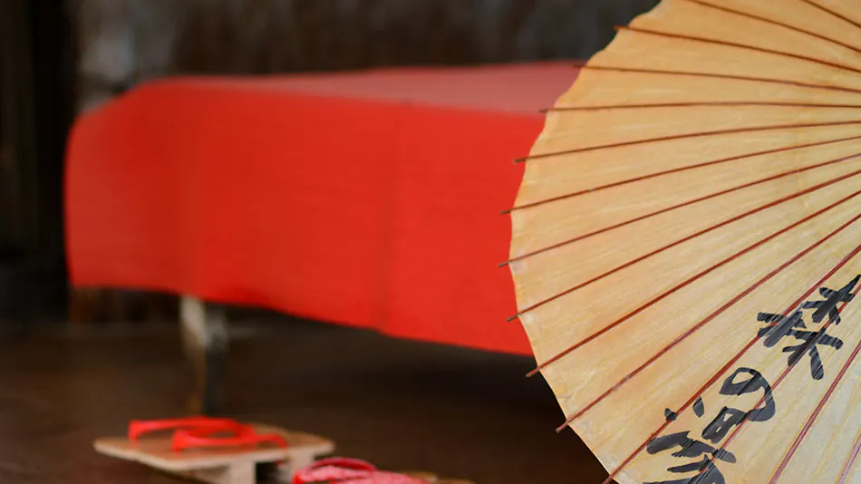 Akayu Onsen Mori no Yu