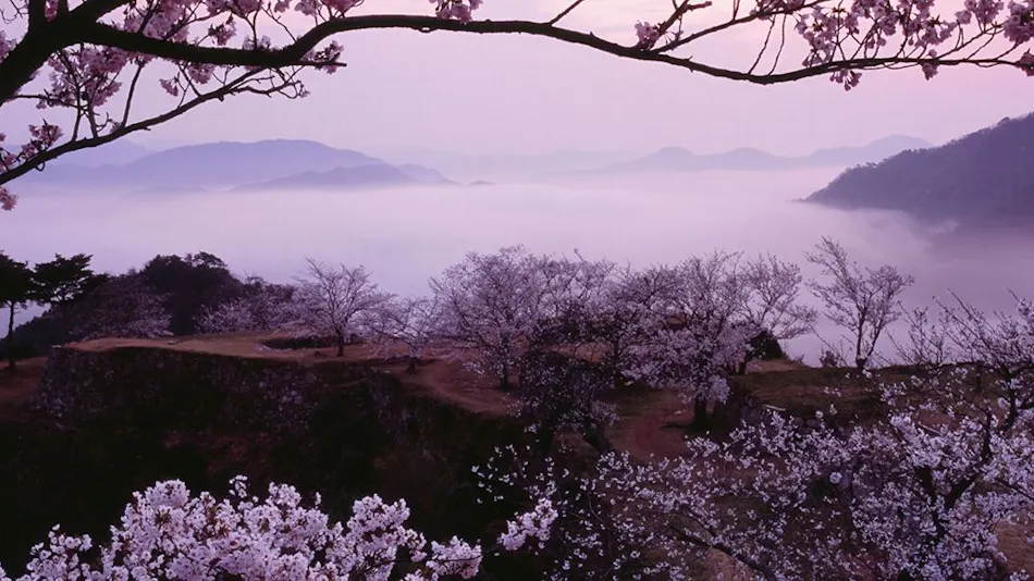 EN Takeda Castle Town Hotel