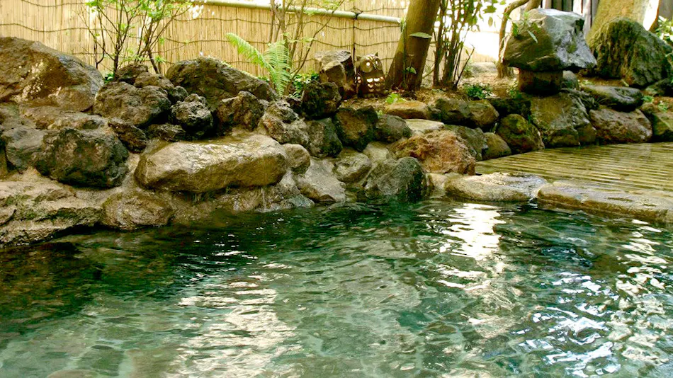 Yudanaka Onsen Wafu no Yado Masuya