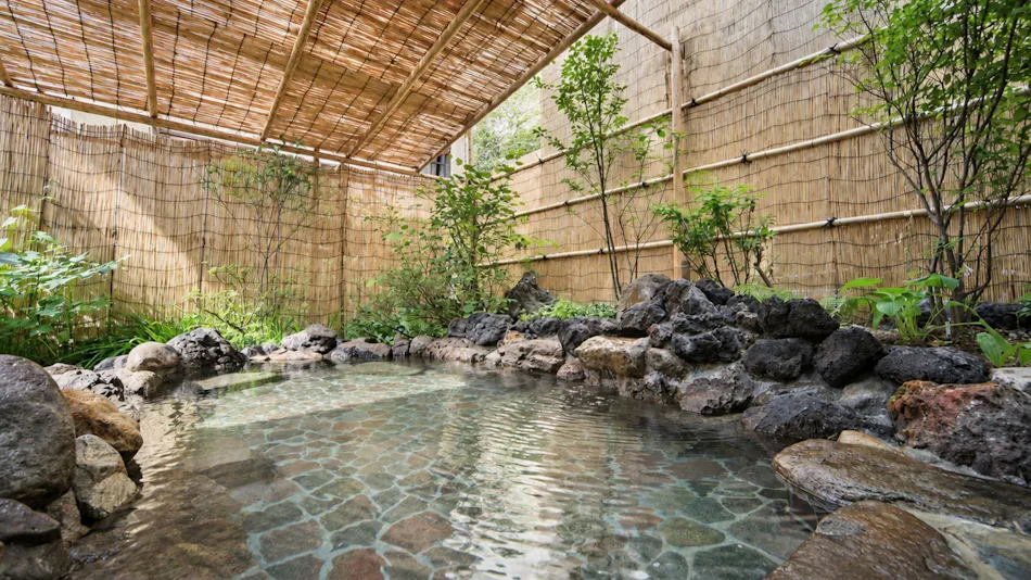 Yudanaka Onsen Wafu no Yado Masuya