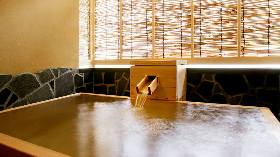 Yudanaka Onsen Wafu no Yado Masuya