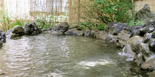 湯田中温泉 和風の宿 ますや