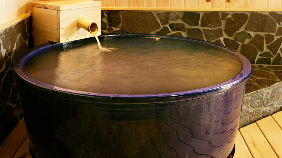 Yudanaka Onsen Wafu no Yado Masuya