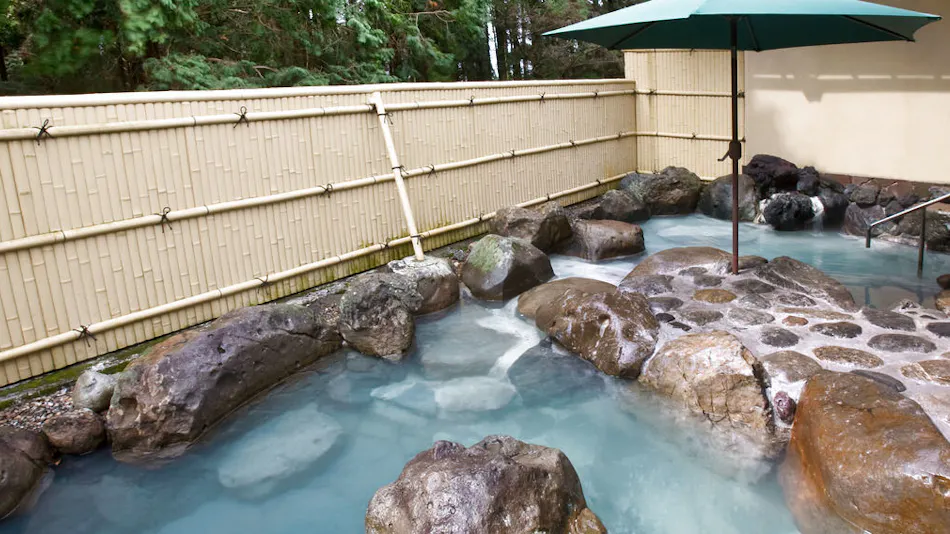 Ryotei Ryokan Takechiyo Kirishima Bettei