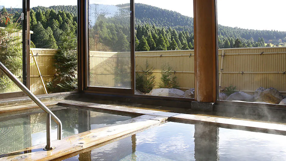 Ryotei Ryokan Takechiyo Kirishima Bettei