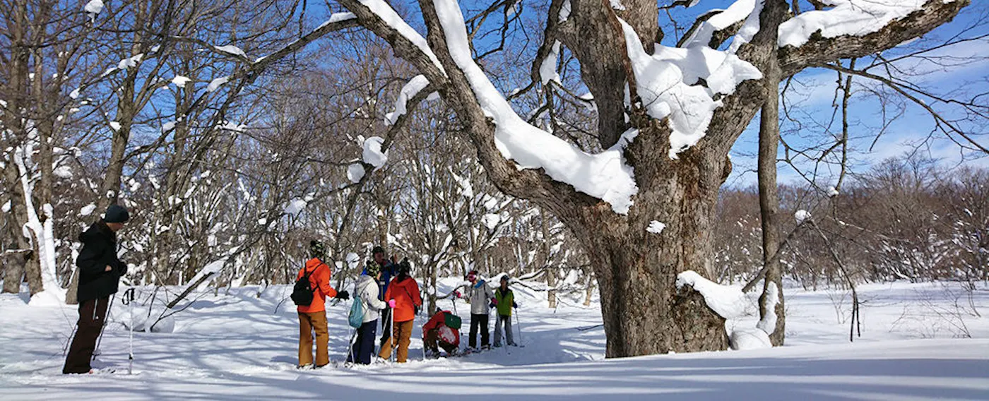 アクティビティ一例