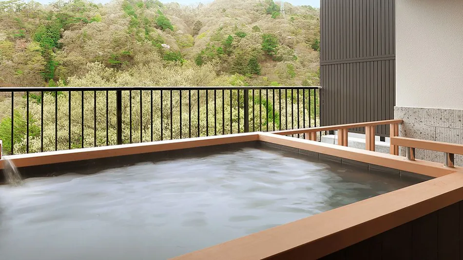 Kinugawa Onsen Hotel Tsugano Ki