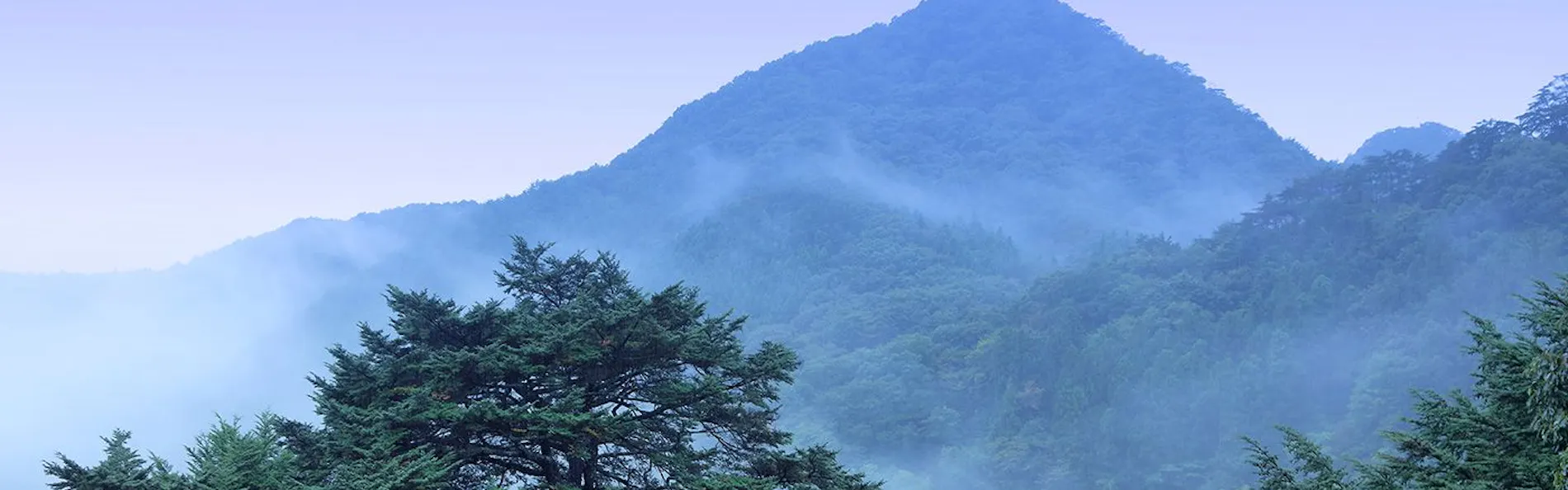 鬼怒川温泉 ホテル栂の季