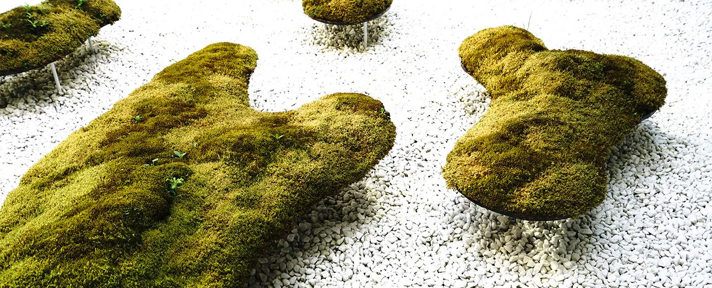 入口/苔庭 小野丰氏作品(巴园):“凪”