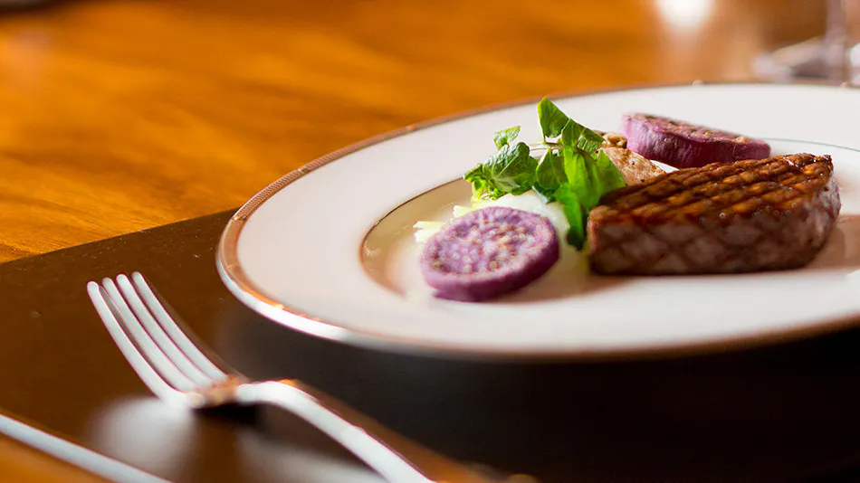 Pet-Friendly Accommodation: Class The Wolf
