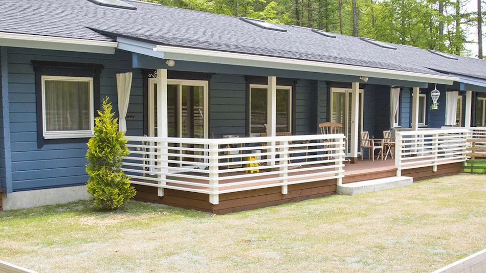 Pet-Friendly Accommodation: Class The Wolf