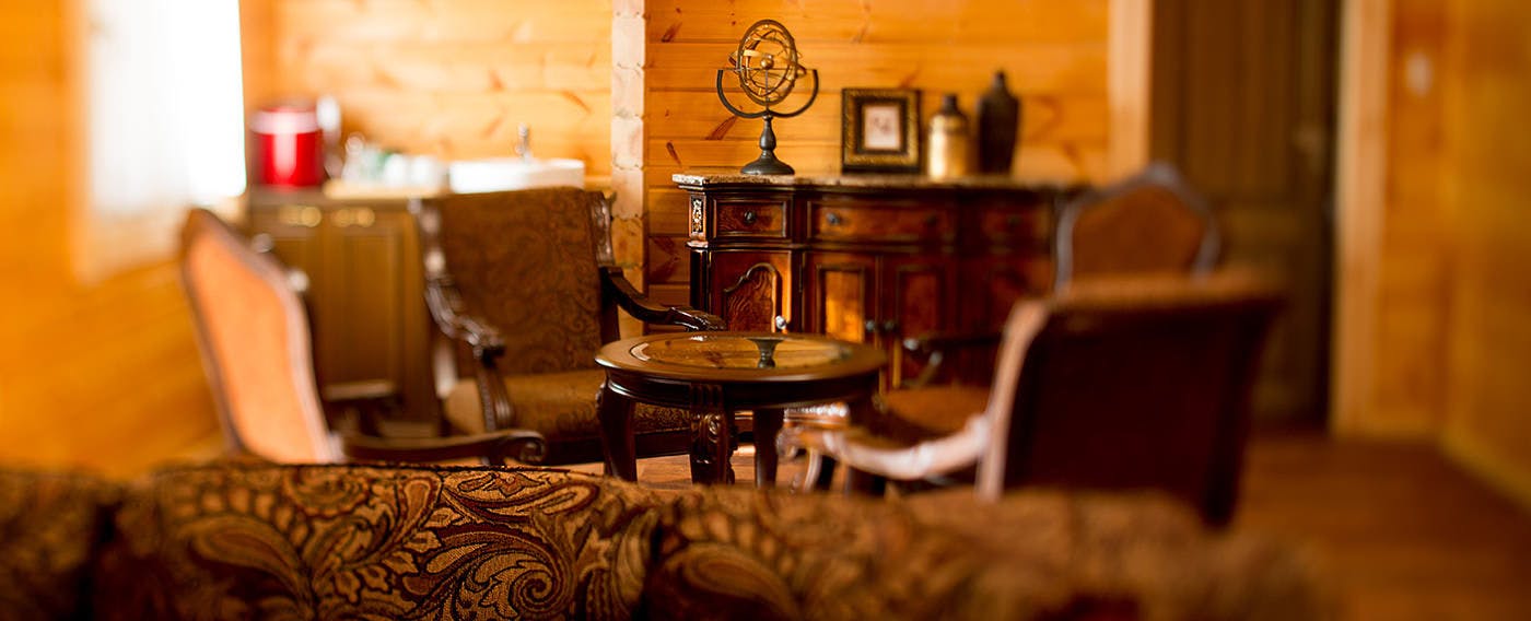 Pet-Friendly Accommodation: Class The Wolf