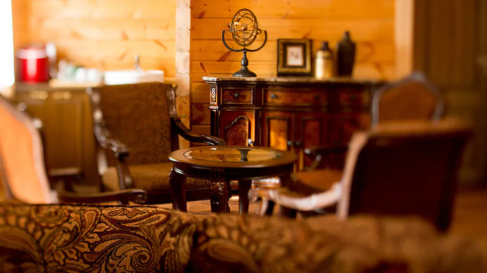 Pet-Friendly Accommodation: Class The Wolf