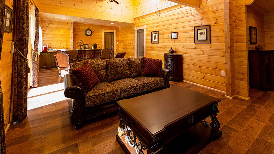 Pet-Friendly Accommodation: Class The Wolf
