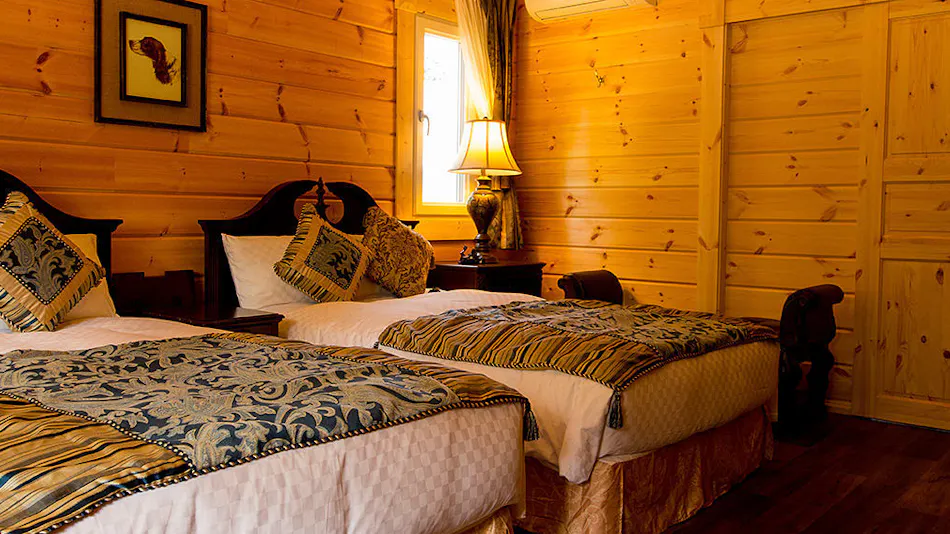 Pet-Friendly Accommodation: Class The Wolf