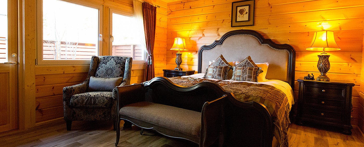Pet-Friendly Accommodation: Class The Wolf