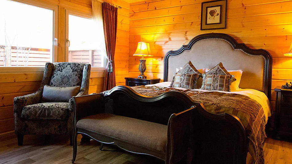 Pet-Friendly Accommodation: Class The Wolf