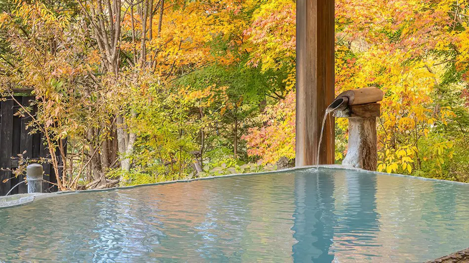 Shirahone Onsen Konashi no Yu Sasaya