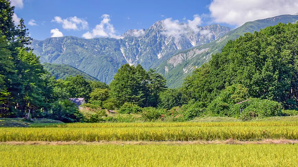 Courtyard by Marriott Hakuba
