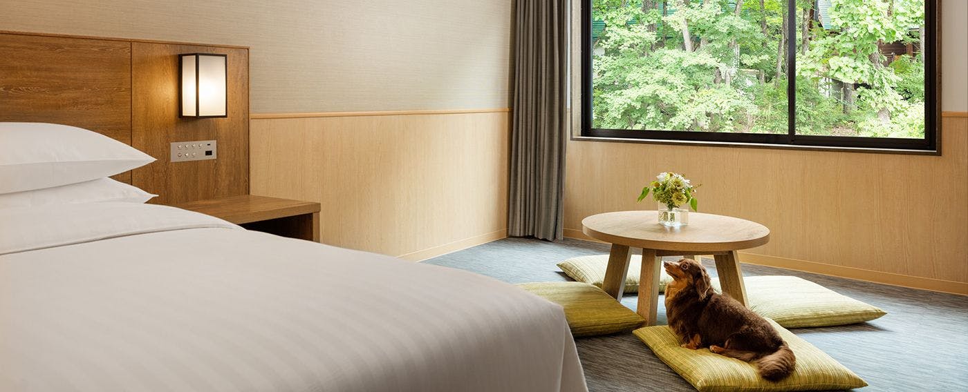 ドッグフレンドリールーム_キング