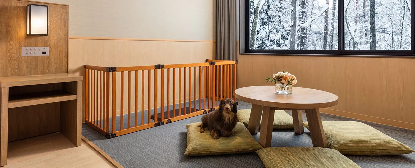 ドッグフレンドリールーム_キング