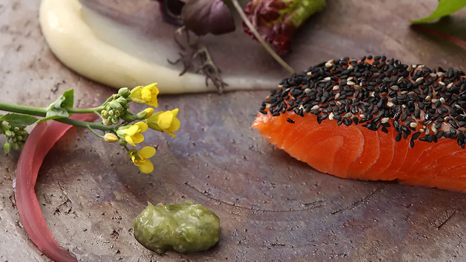 Tokismika Soba French and Japanese Modern Auberge