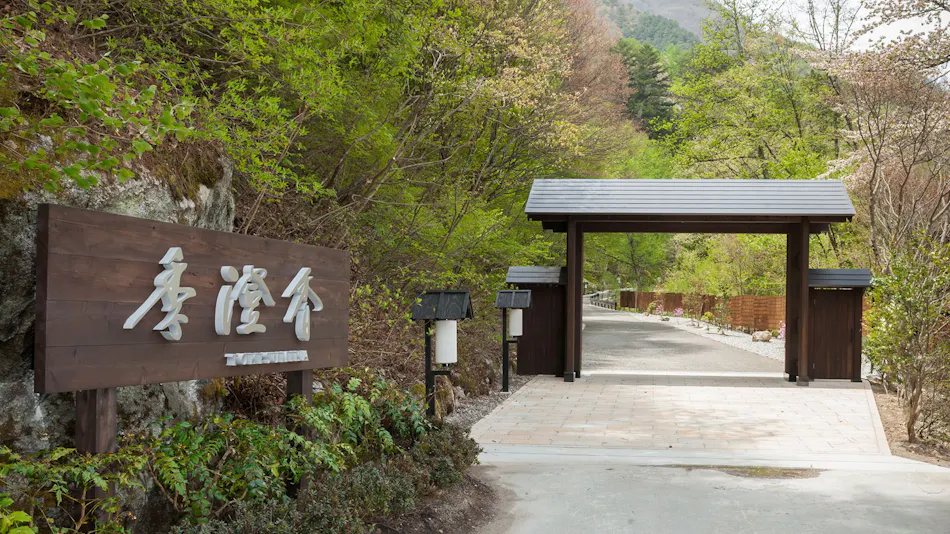 Tokismika Soba French and Japanese Modern Auberge