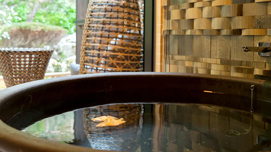 Tokismika Soba French and Japanese Modern Auberge