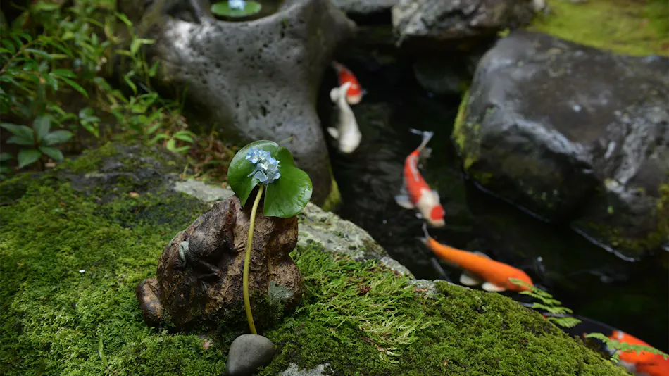 Yoshikawa small luxury inn Kyoto & Tempura