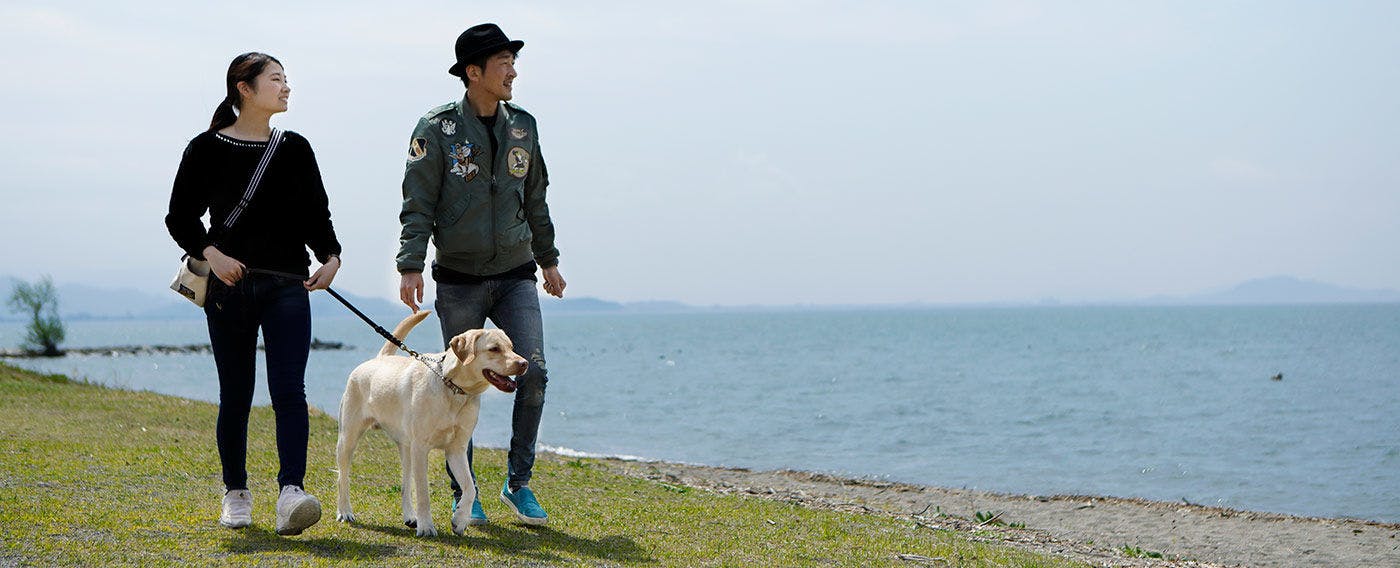 【Bersiar-siar di sekitar Tasik Biwa】 Taman Houkou yang bersebelahan dengan Tasik Biwa, berkaitan dengan Toyotomi Hideyoshi, sangat sesuai untuk berjalan-jalan.