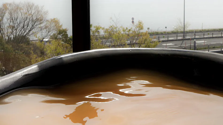 Regina Resort Biwako Nagahama