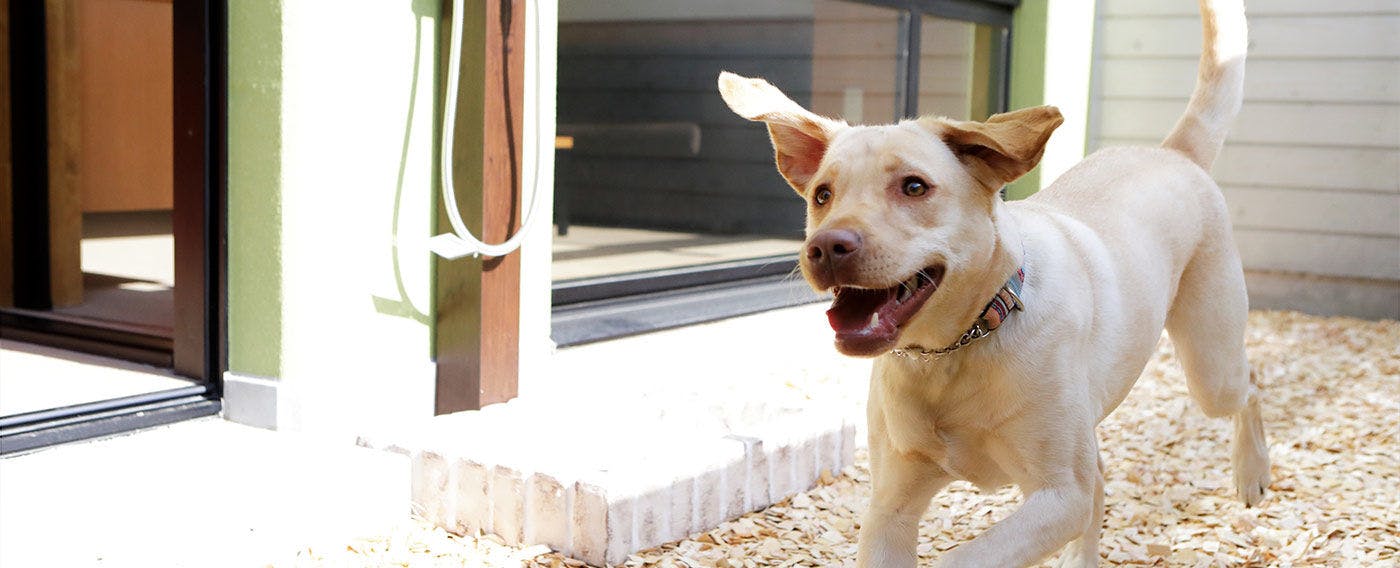 Regina Resort Biwako Nagahama