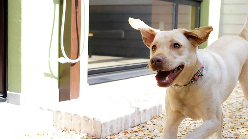 Regina Resort Biwako Nagahama
